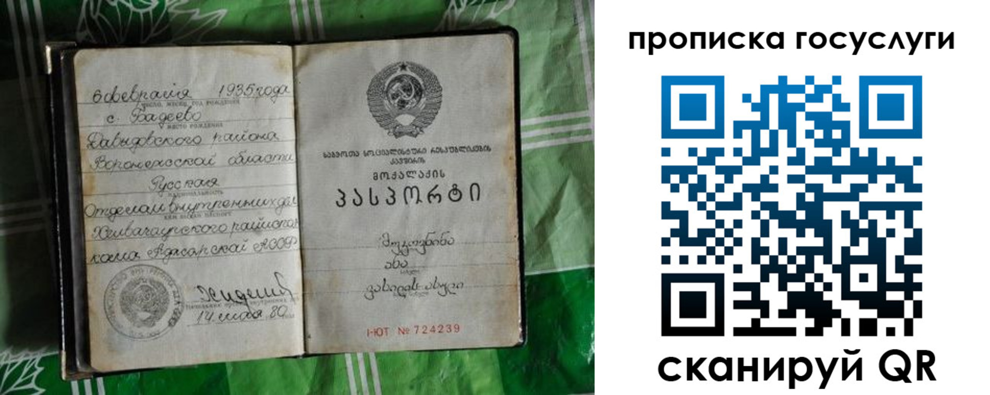 прописка паспорт в Вельске